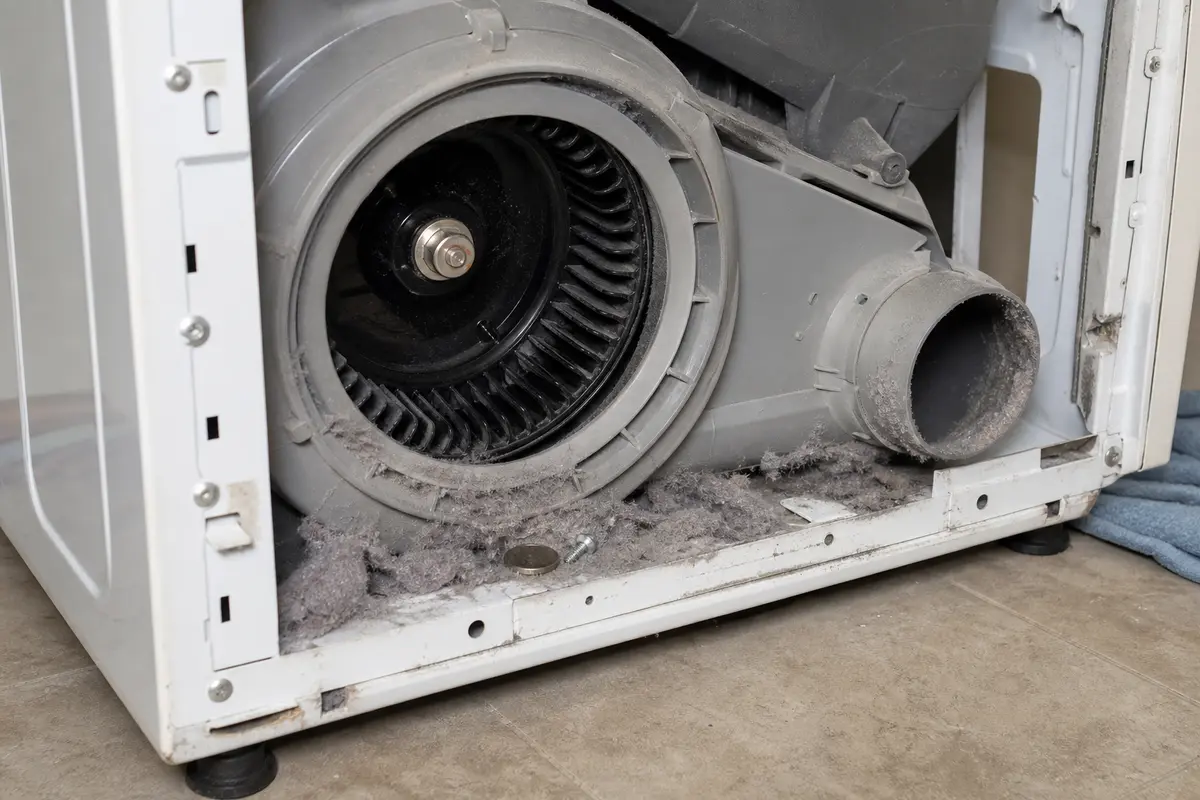 Open dryer lower cabinet showing blower wheel housing with lint and loose debris that can rattle loudly