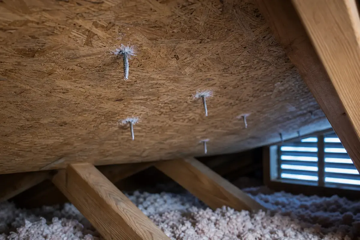 Frosted attic nail tips near icy roof deck sheathing