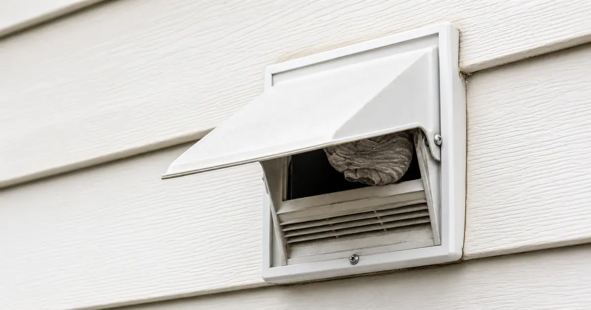 Bathroom exhaust vent cap with a hornet nest behind the open flap