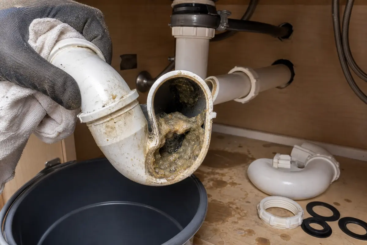 Greasy buildup inside a removed kitchen sink P-trap that can narrow the drain path
