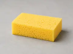 Sponge tool